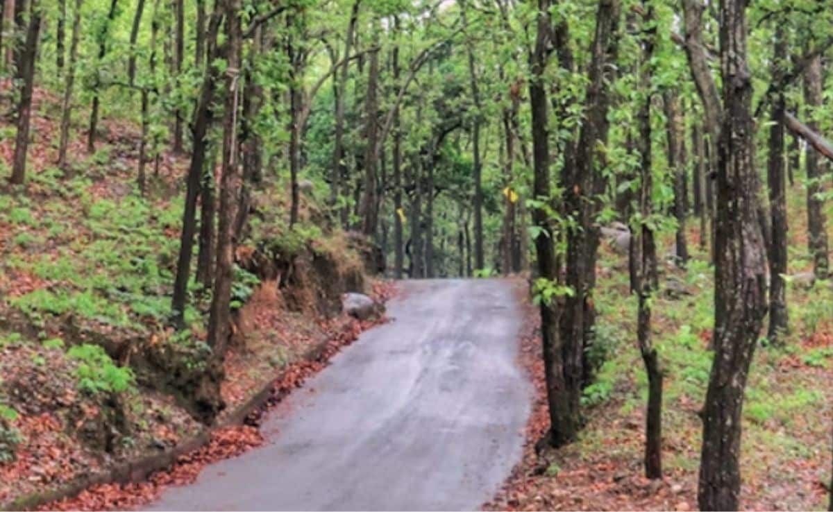 Forest Funds Used For Buying iPhones, Laptops In Uttarakhand: CAG Report