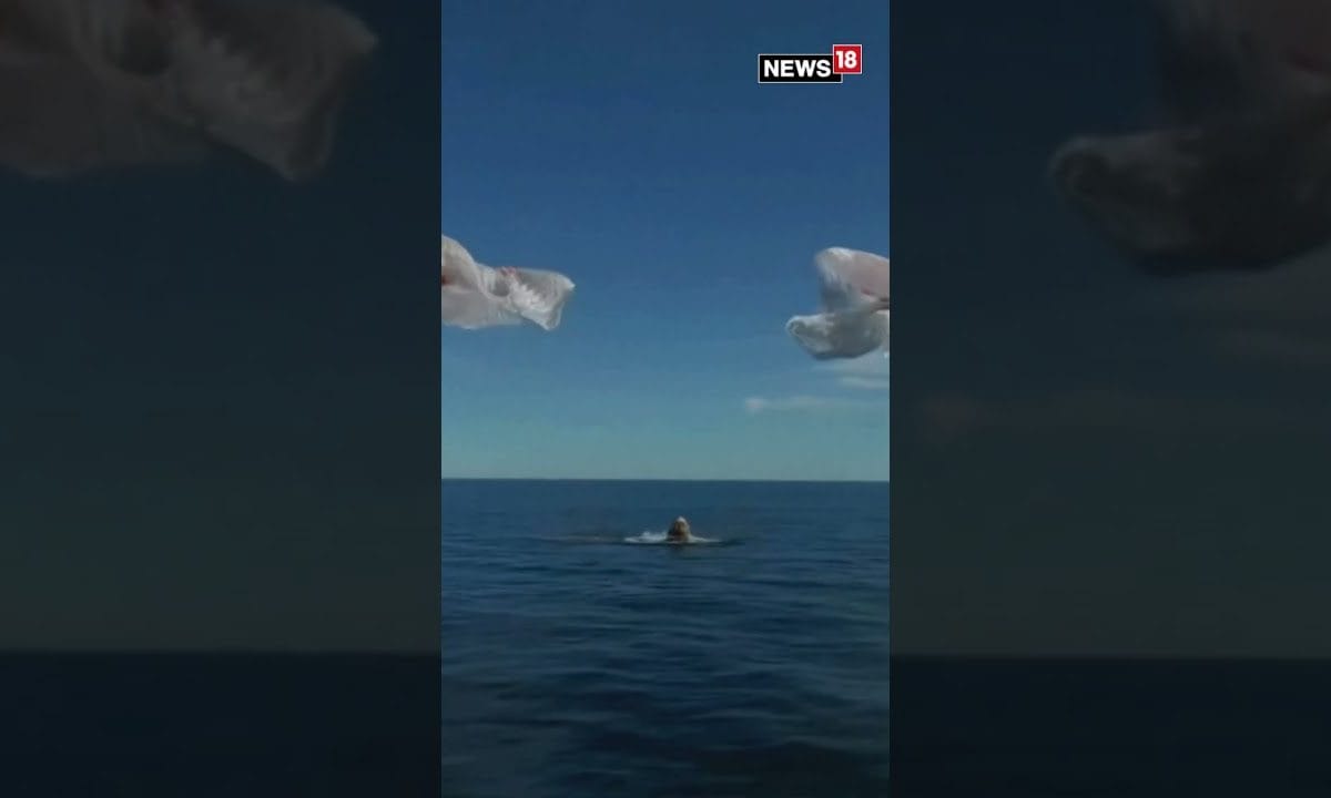 NASA’s SpaceX Crew-9’s Return To Earth And Splashdown | Sunita Williams | Butch Wilmore | N18S