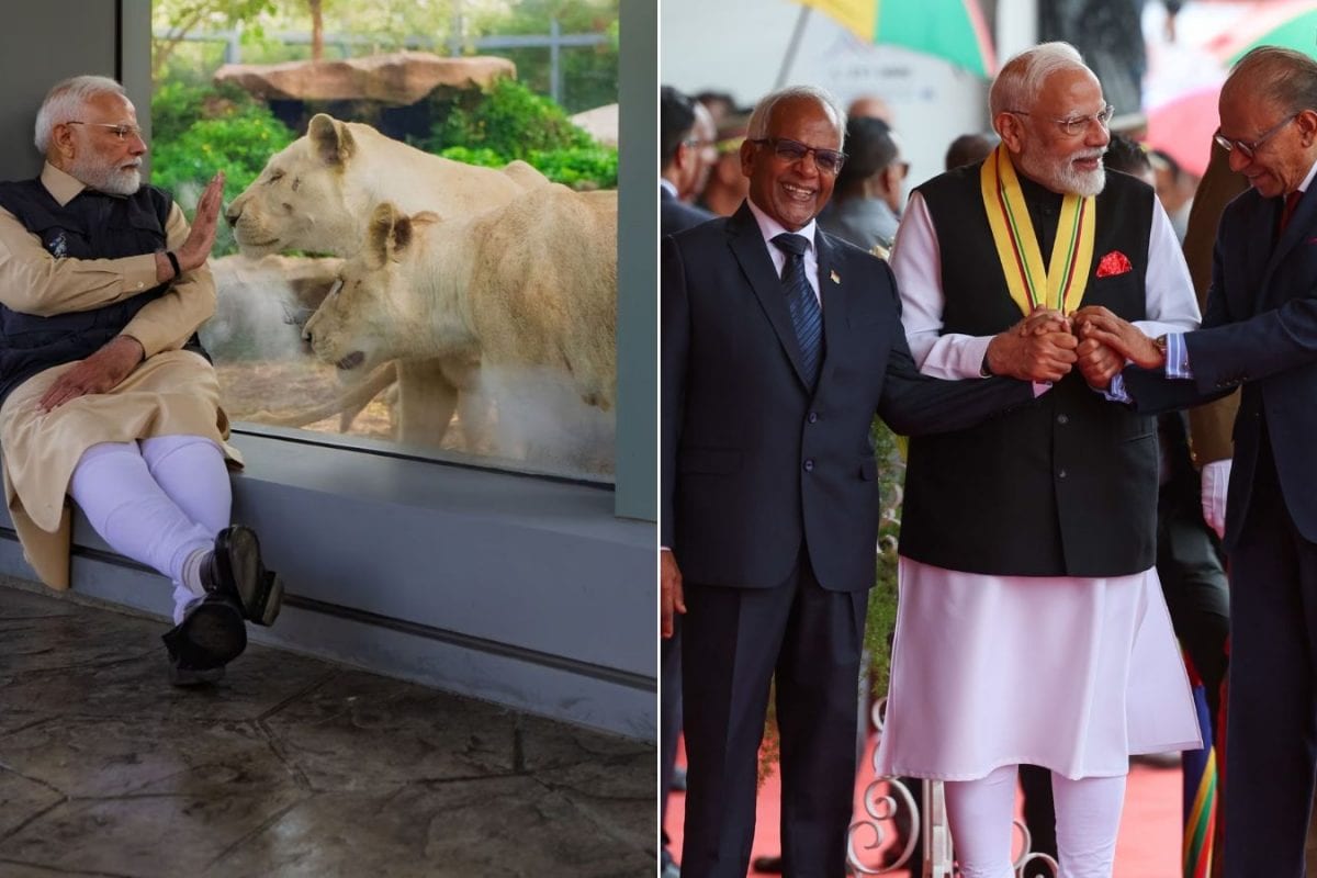 PM Modi’s March In Photos: From Gir Safari To Spending Time With Rescued Animals At Vantara & Mauritius Visit