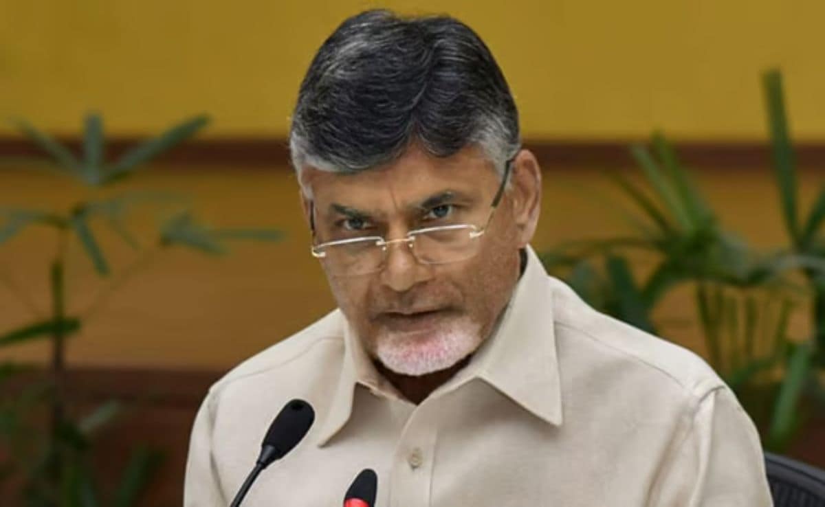 “Hindi Useful For Communication In Delhi”: Chandrababu Naidu Amid Row