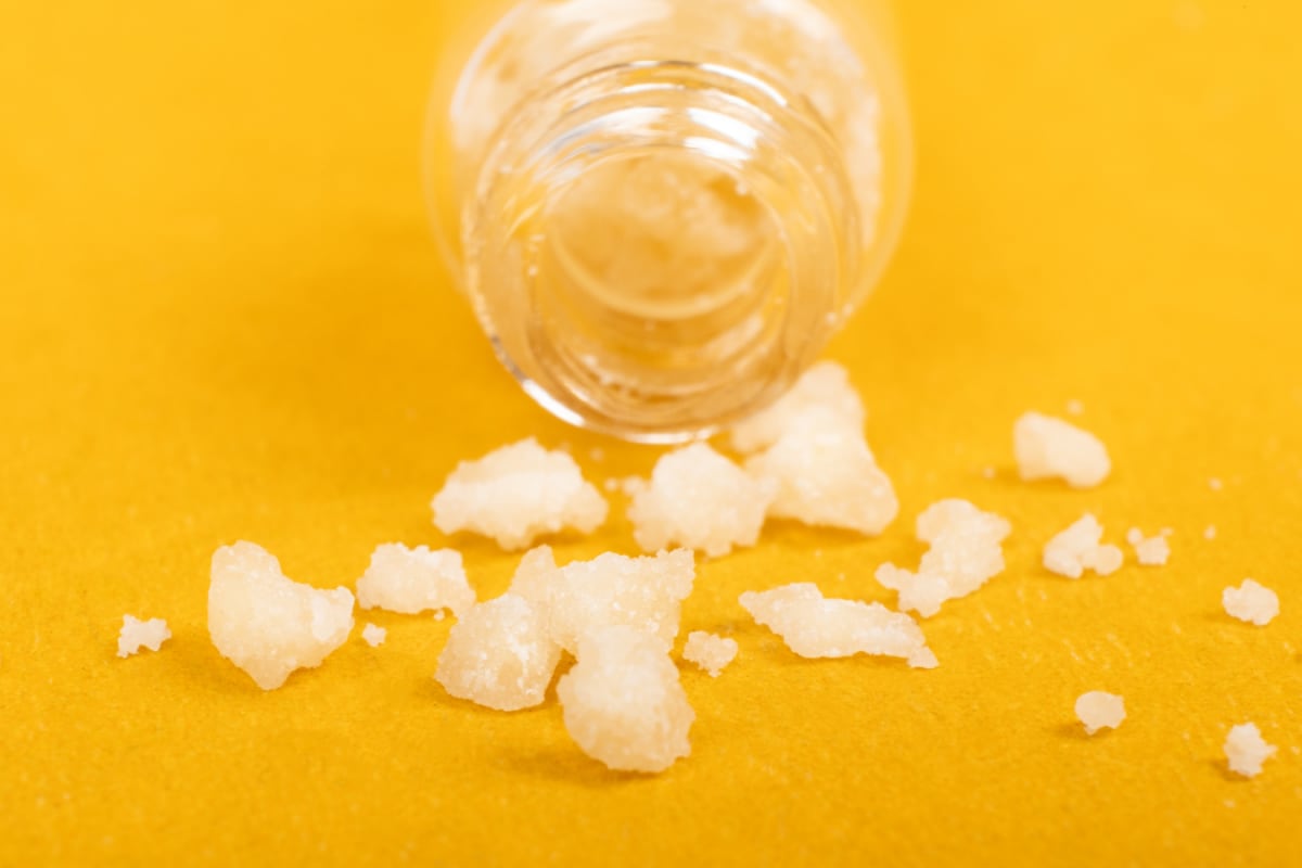 NCB Busts Drug Factory in Raigad, Seizes Rs 50 Crore Worth Mephedrone