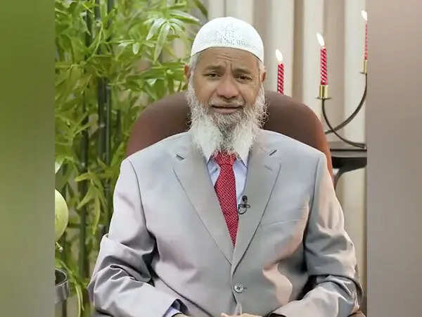 India hits out at Pakistan for hosting Zakir Naik