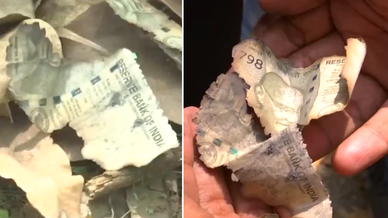Judge cash row: Burnt Rs 500 notes ‘found’ near Justice Varma’s house