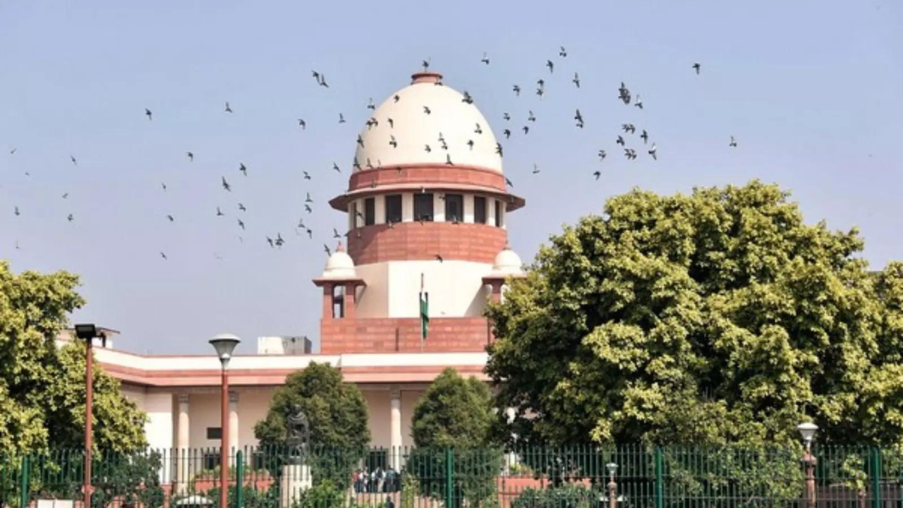 Cutting large number of trees worse than killing a human being, says Supreme Court