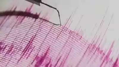 7.1 magnitude quake hits Pacific island nation of Tonga, tsunami warning triggered