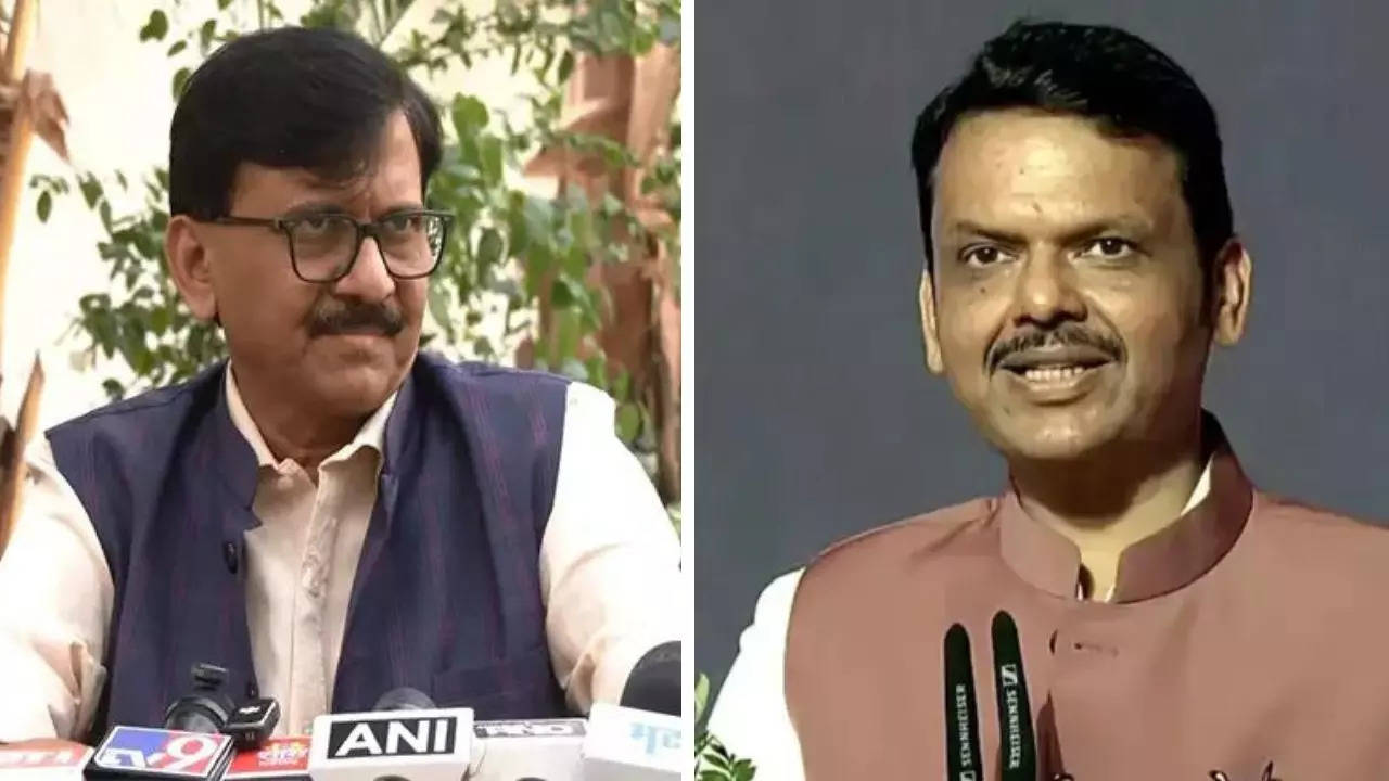 ‘RSS will pick PM Modi’s successor,’ claims Sanjay Raut; Fadnavis reacts
