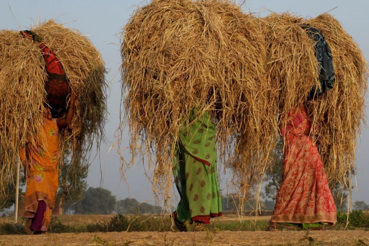 Parliamentary Panel Flags Delays In MGNREGS Wages Across States, Urges Centre To Release Bengal’s Dues
