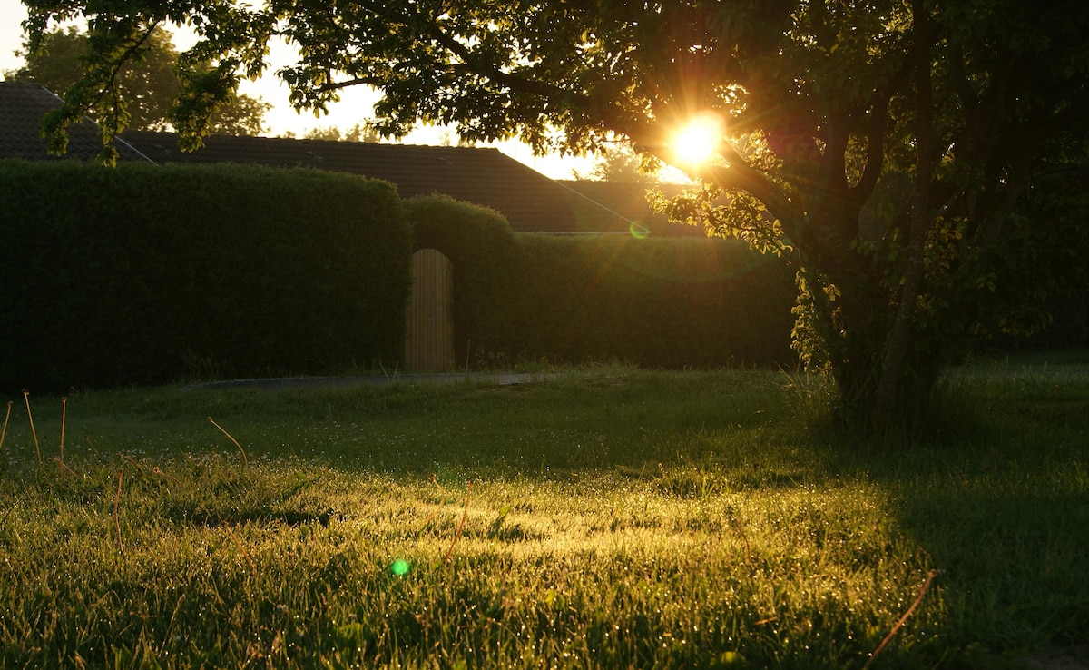 Keep Your Backyard Safer, Cooler This Summer With These Tips