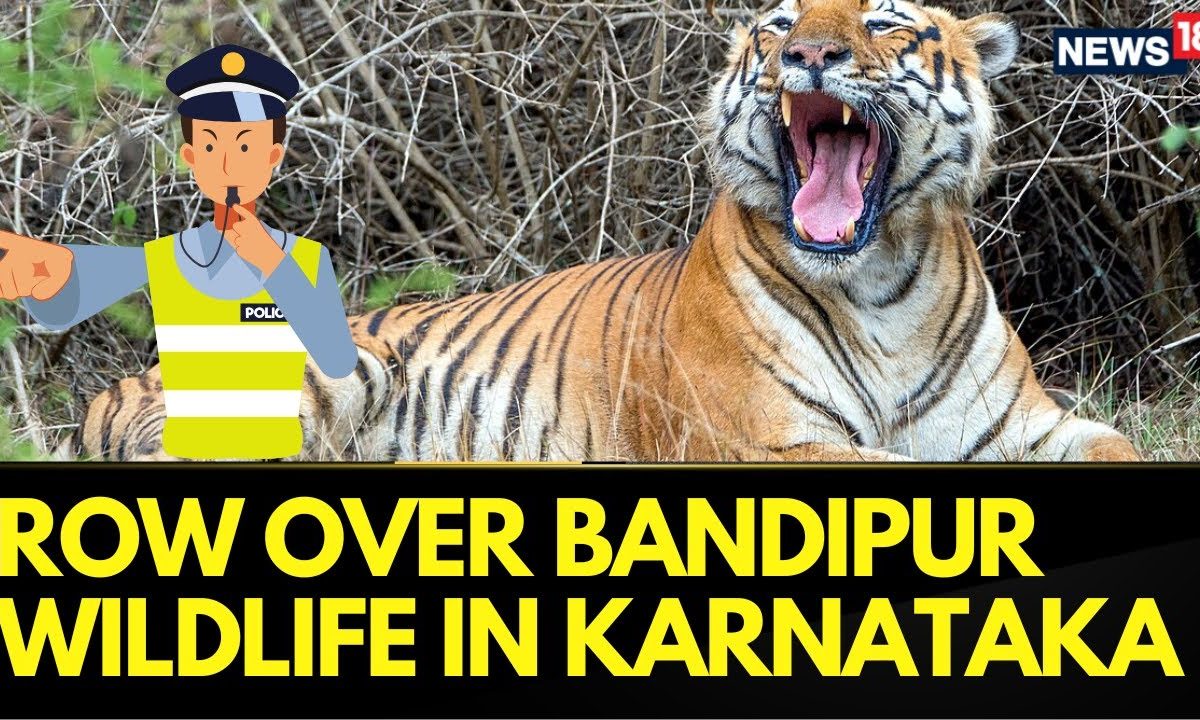 Public Opposition Grows Against Lifting Night Traffic Ban on NH 766 Through Bandipur | Wildlife