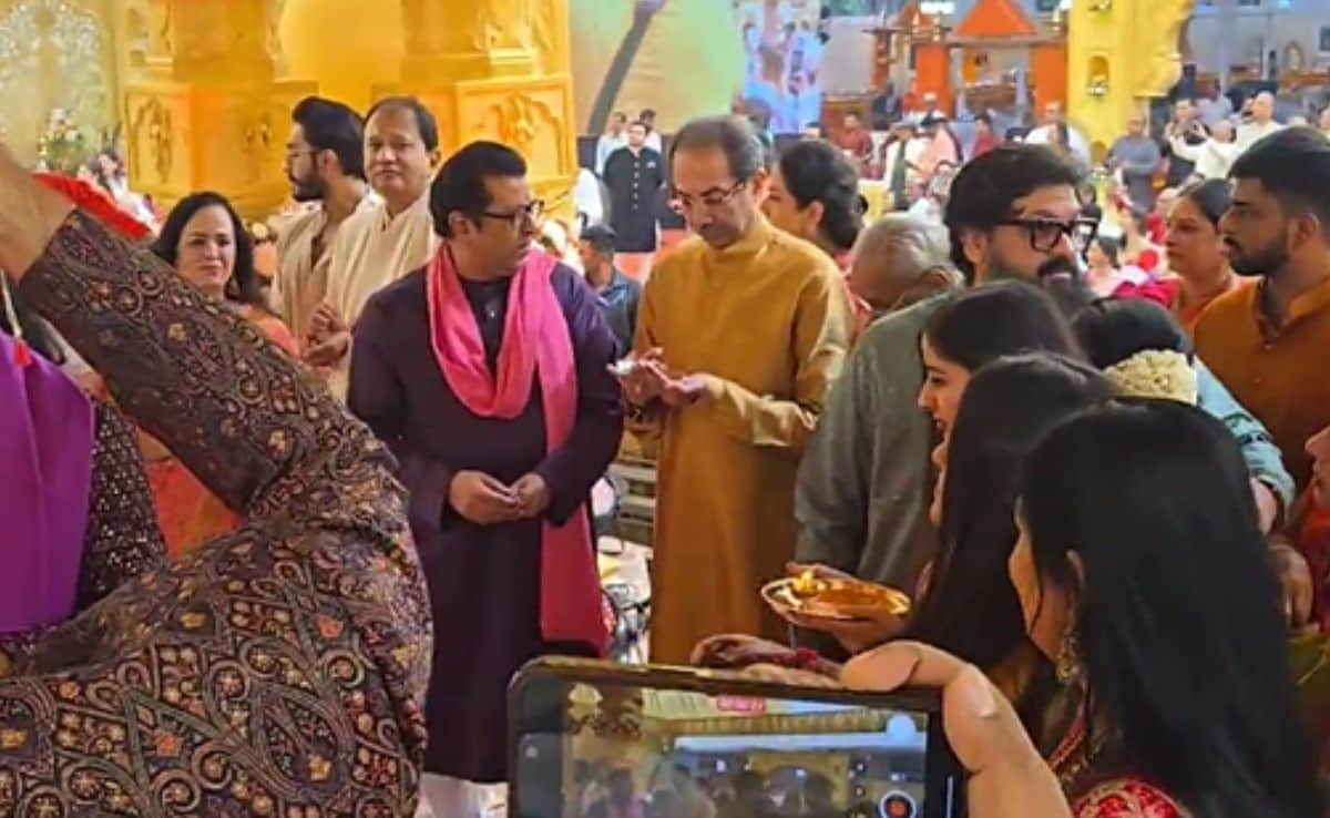Will Raj Thackeray And Uddhav Thackeray Bury The Hatchet? Explained