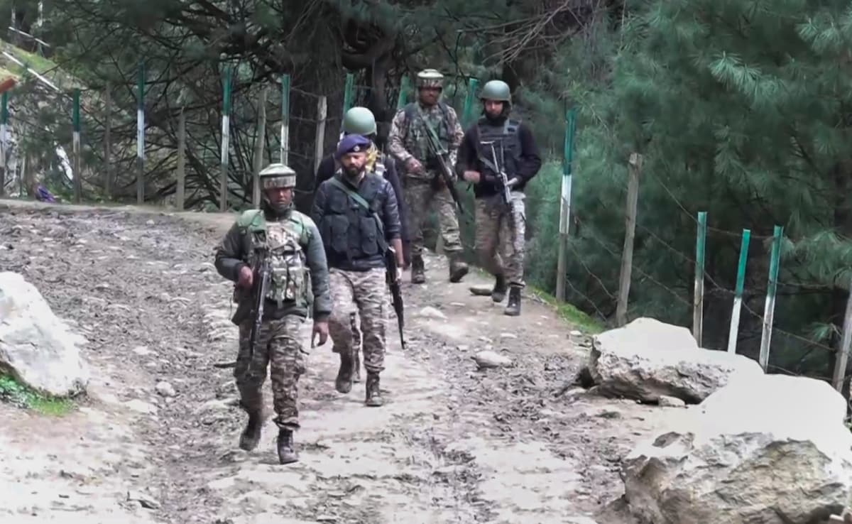 We Stand With India, Condemn All Acts Of Terrorism: US On Pahalgam Attack