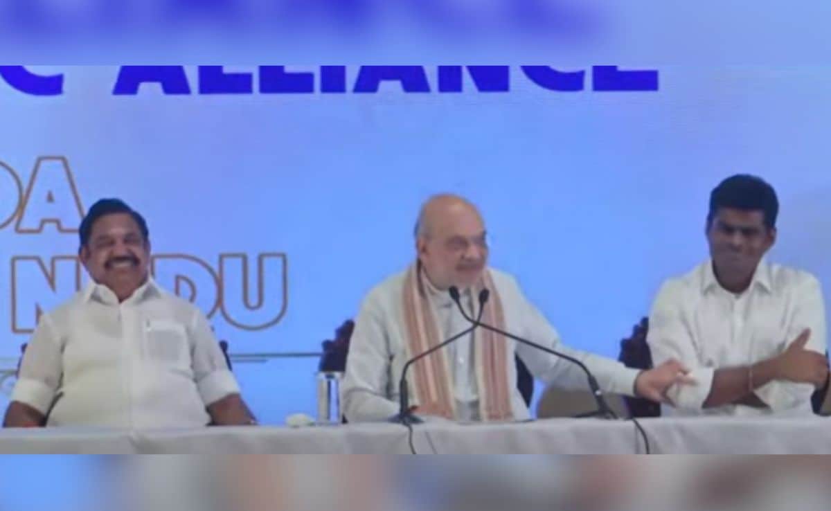 “He Is Still…”: Amit Shah On K Annamalai ‘Being Removed’ For AIADMK Alliance