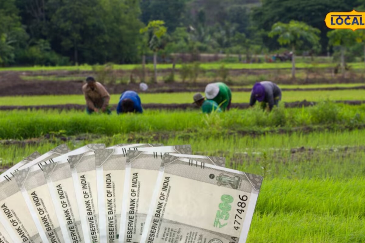 Annadata Sukhibhav Scheme Announced, Andhra Farmers To Receive Rs 20,000 A Year; Check Eligibility