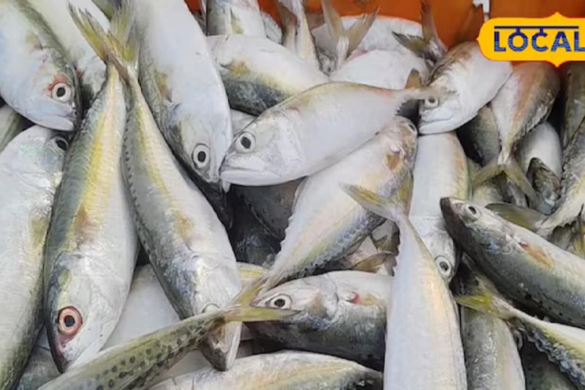 Chennai Man Holds Live Fish In Mouth While Fishing, Chokes To Death