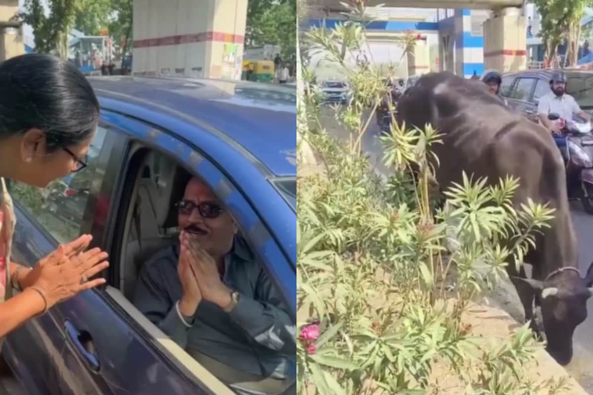 Delhi CM Rekha Gupta Stops Convoy After Seeing Man Feeding Stray Cow On Busy Road. This Happens Next