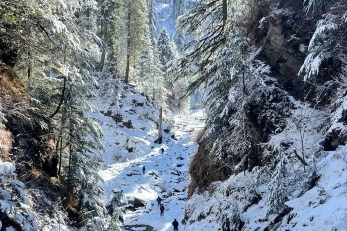 Terrorist Killed In Encounter In Kishtwar, Combing Ops Ongoing In Udhampur