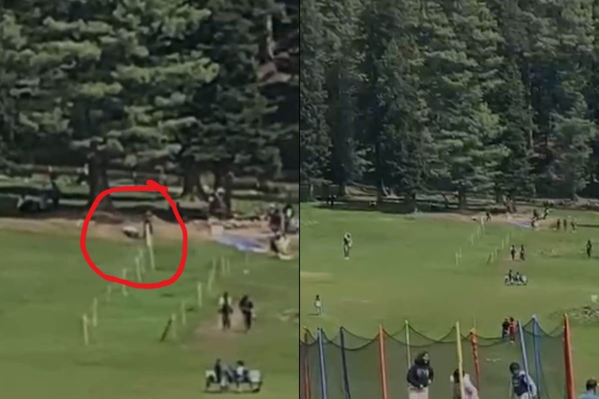 Zipline, Trampoline, Gunshots, Man On Ground: New Pahalgam Videos Capture Chaos After Calm