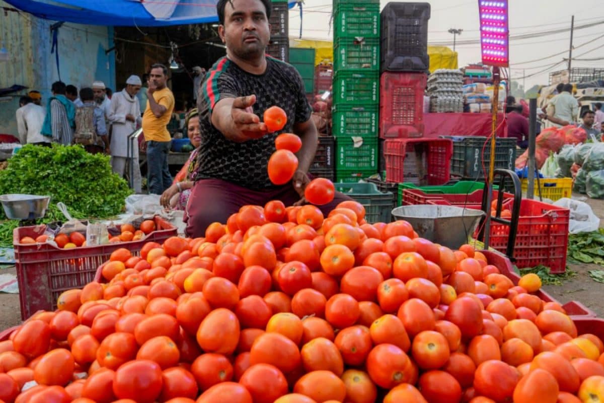 Glossy Red Tomatoes Spark Health Concerns After Viral Video Exposes Use Of Hazardous Chemicals