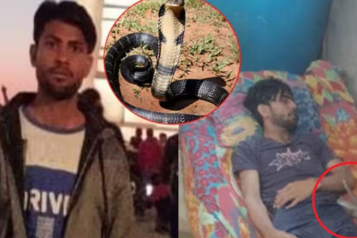 Snake Bites UP Man 10 Times Overnight, Stays Under His Dead Body Until Morning
