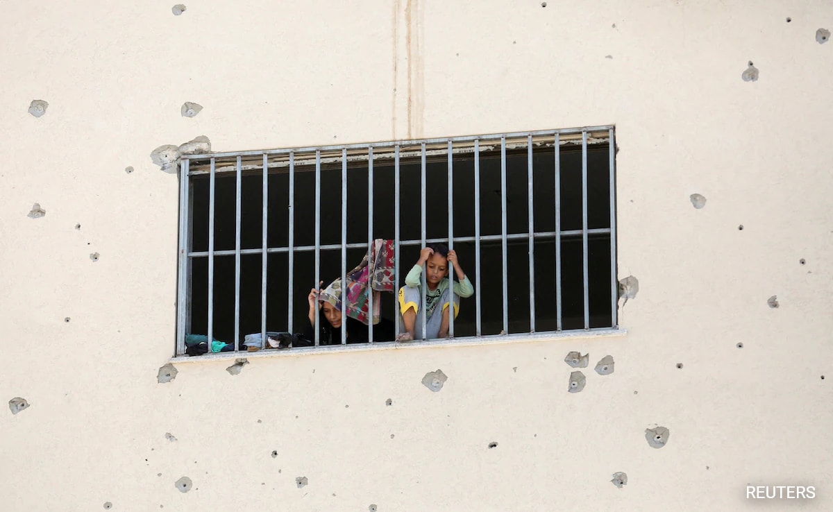 Amid Israel-Hamas War, Gazans Resort To Turtle Meat In Hunt For Food