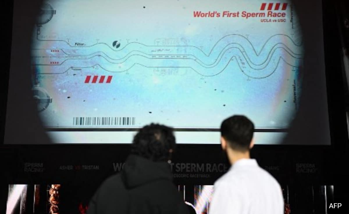 ‘Fearing Future Without Babies’, Students ‘Race’ Sperm In Los Angeles