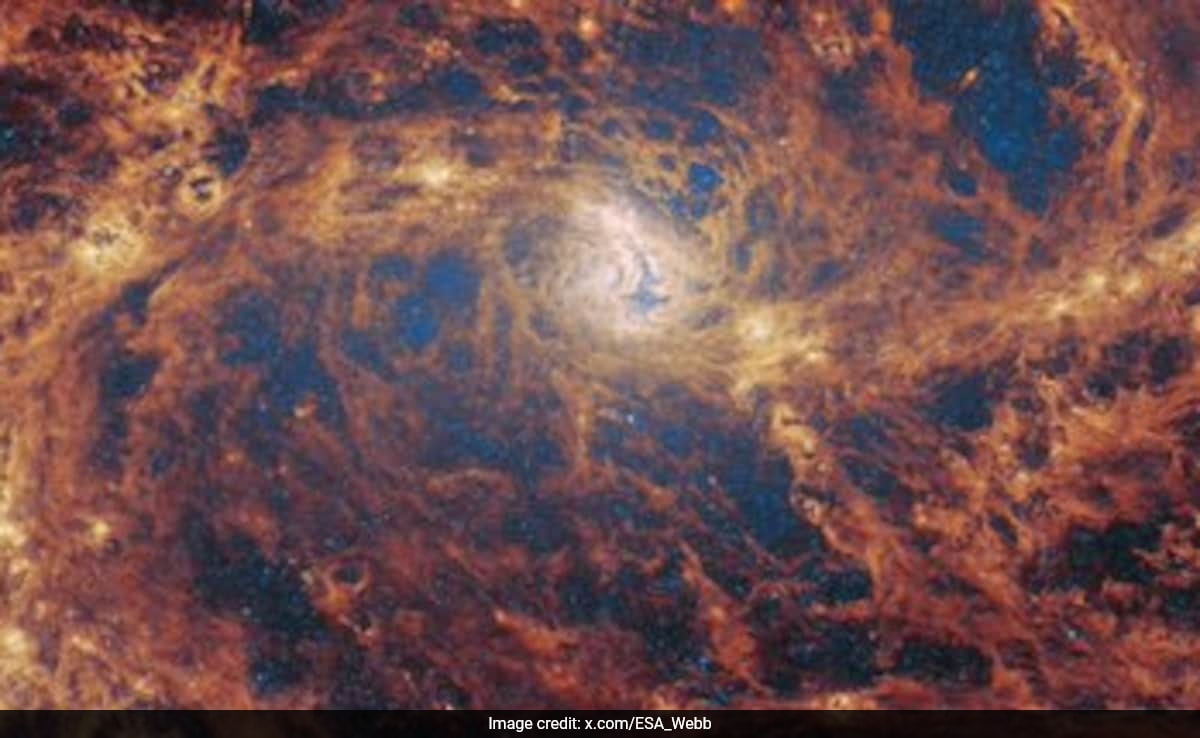 Signs Of A Supermassive Black Hole Hiding In Nearby Spiral Galaxy