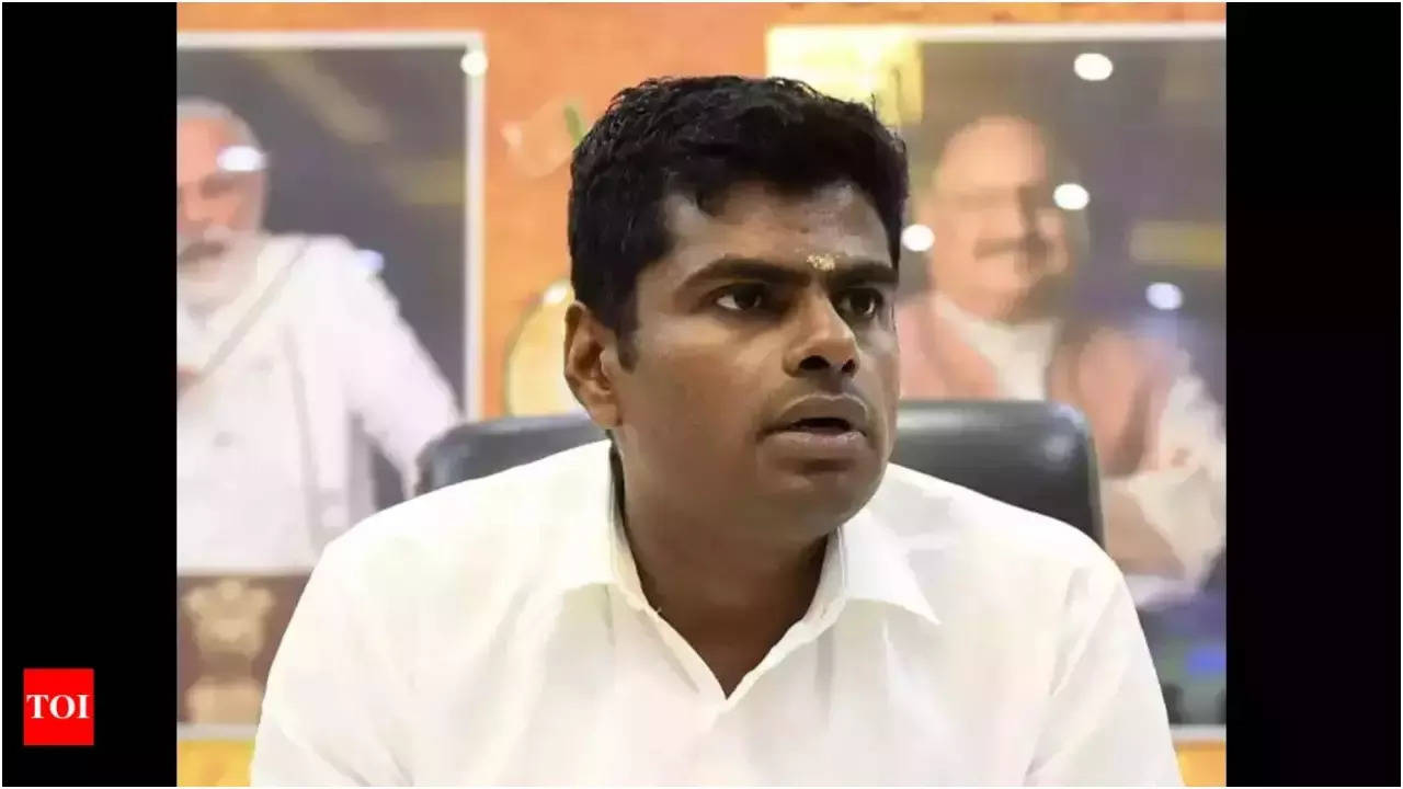 ‘Not in race for TN BJP chief post’: Annamalai sparks resignation rumours