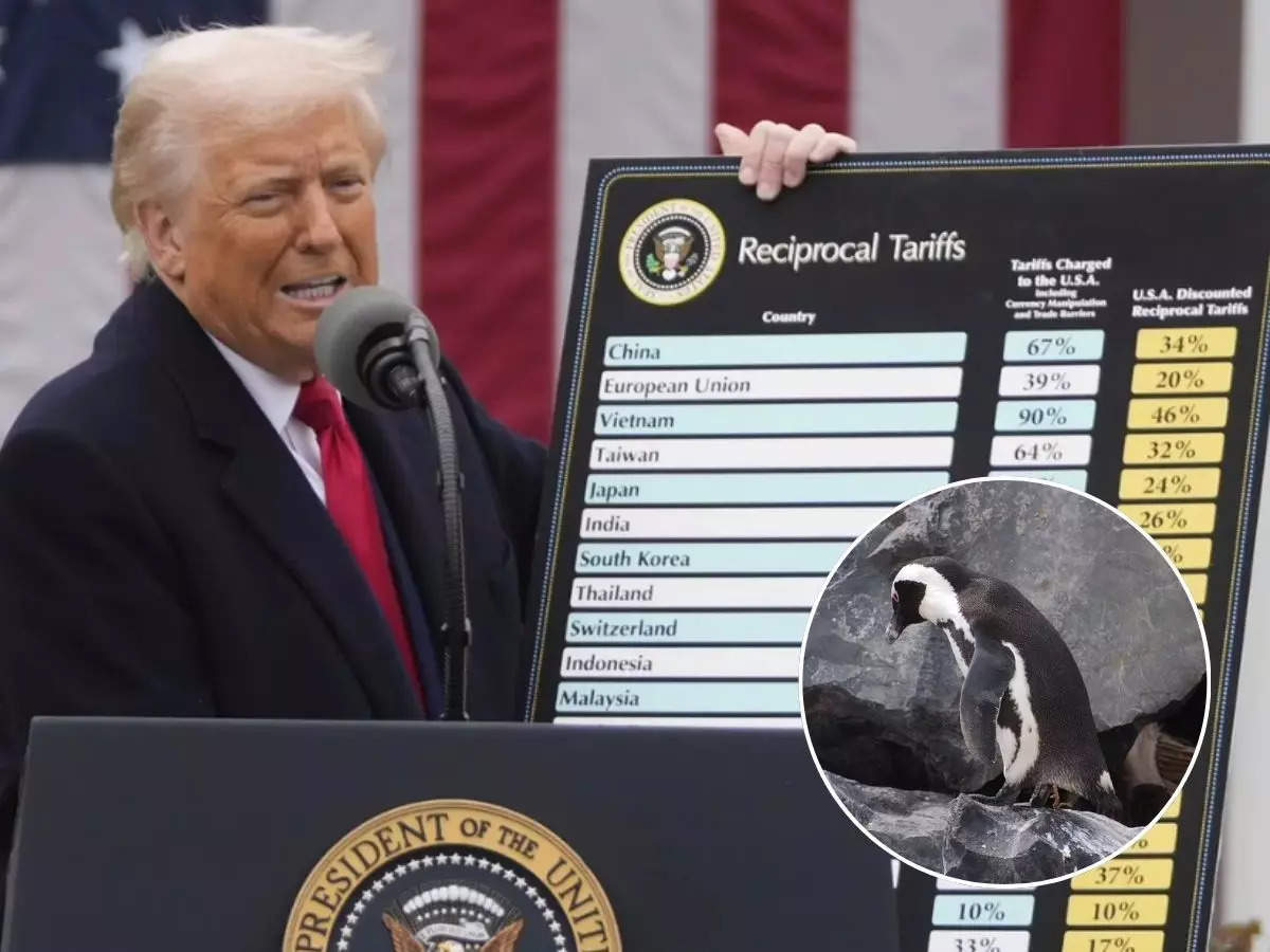 TOI explainer: The math behind Donald Trump’s 104% tariffs on China