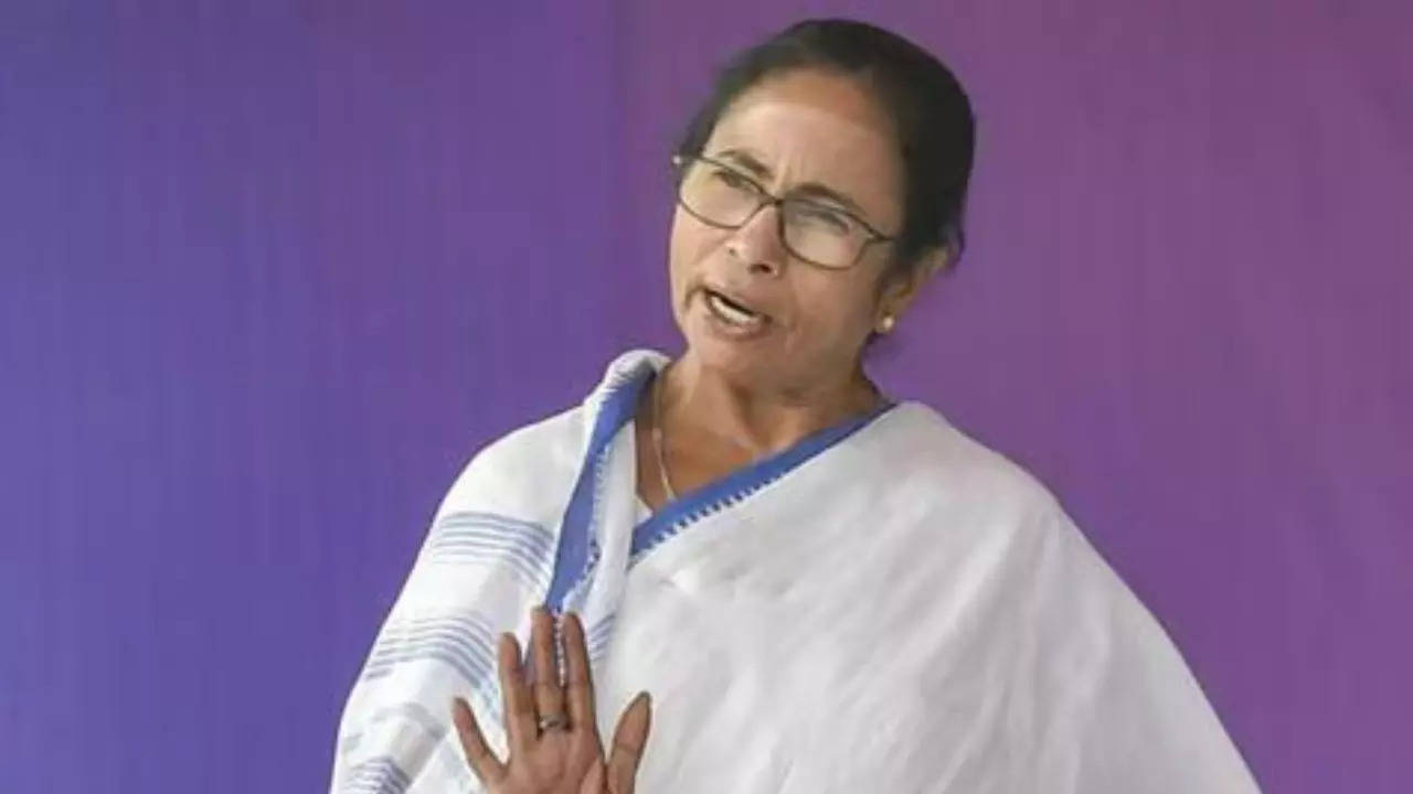 ‘Didi will protect you’: Mamata says Waqf Act will not be implemented in Bengal