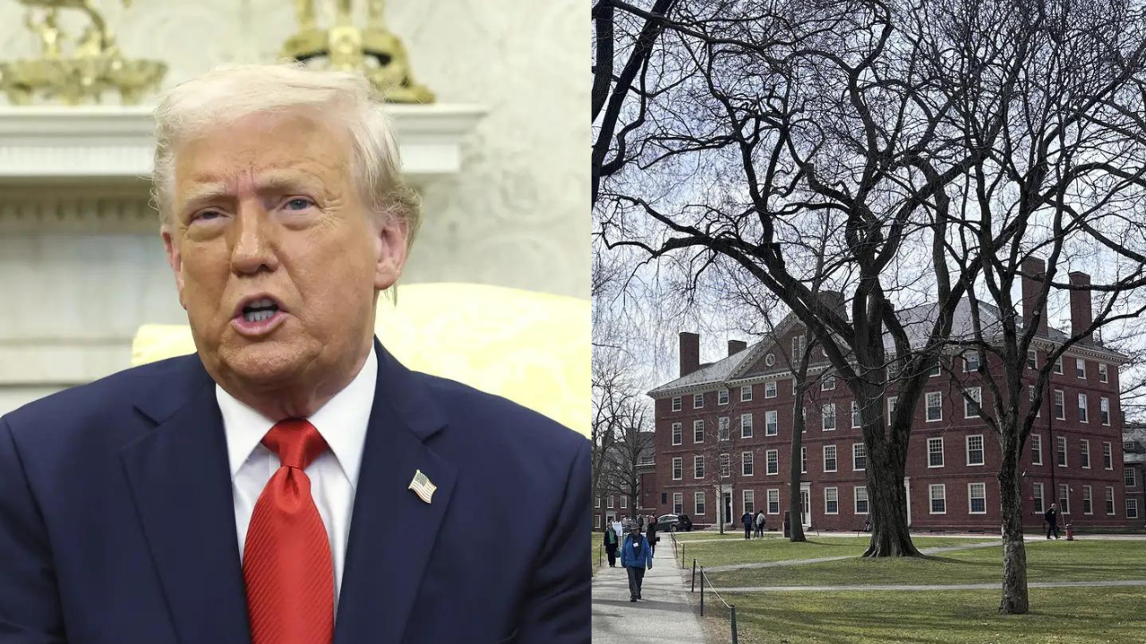 Harvard university’s $2.2 billion funding frozen: What triggered Trump admin’s move?