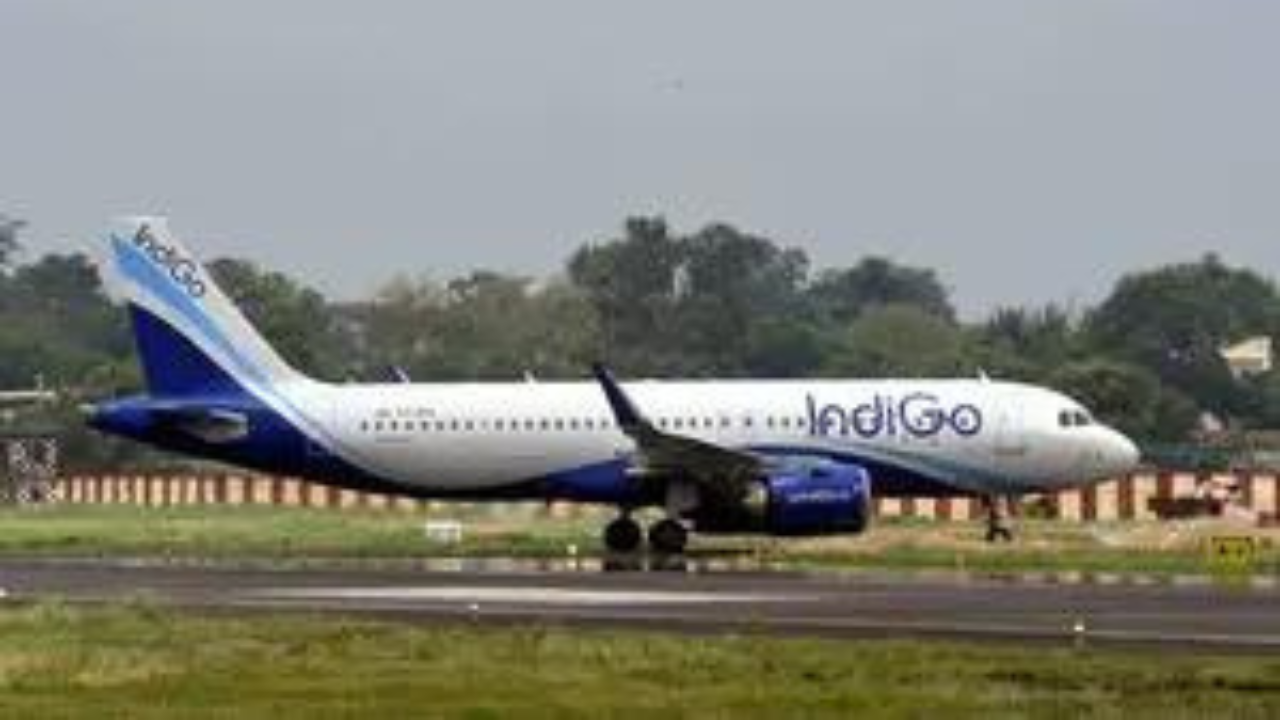 Bomb scare on IndiGo flight: Canadian passenger detained for making threat