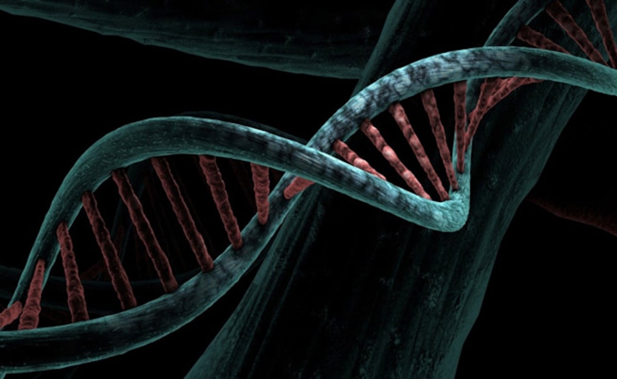 DNA Sequencing May Become Prime Target For Hackers, Warns Study