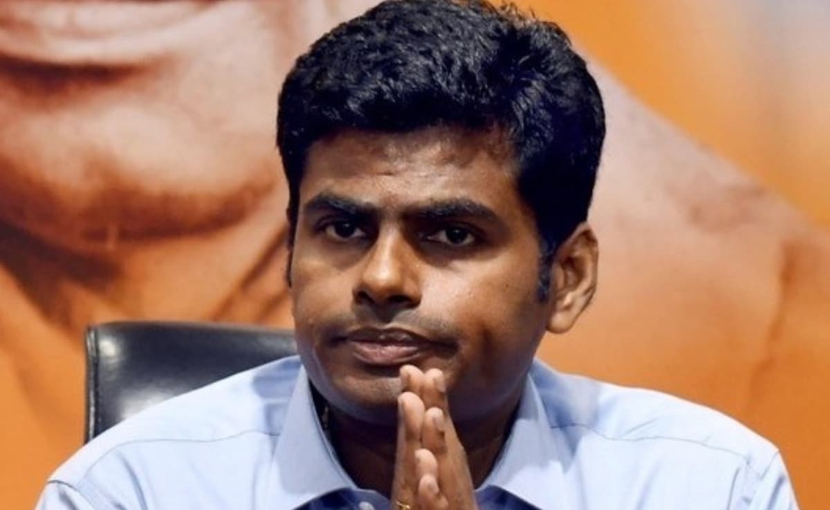 K Annamalai To Step Down As Tamil Nadu BJP Chief? He Says…