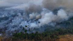 Tropical forests destroyed at fastest recorded rate last year