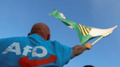 AfD classified as extreme-right by German intelligence