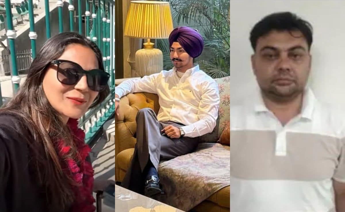 Vlogger, Student, Businessman, Guard: 8 ‘Pak Spies’ Arrested By India