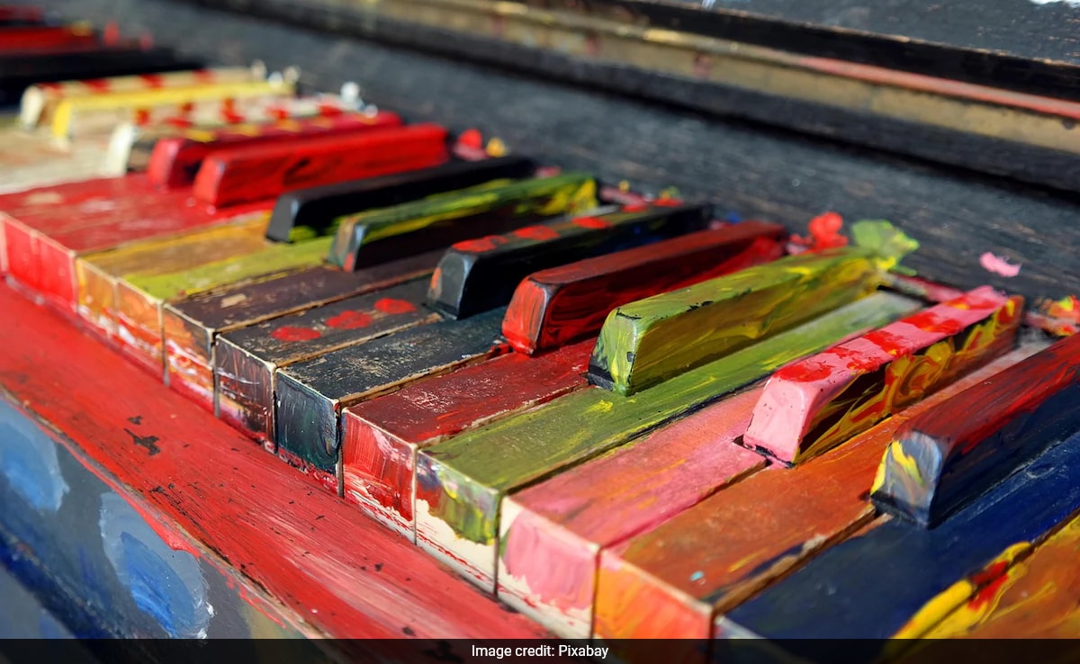 US Woman Finds Piano, Prada, Hermes Items Worth Rs 25 Lakh In Dumpster