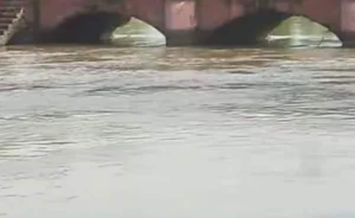 Cop Jumps Into Ghaziabad Canal In Bid To Save Woman From Alleged Suicide, Dies