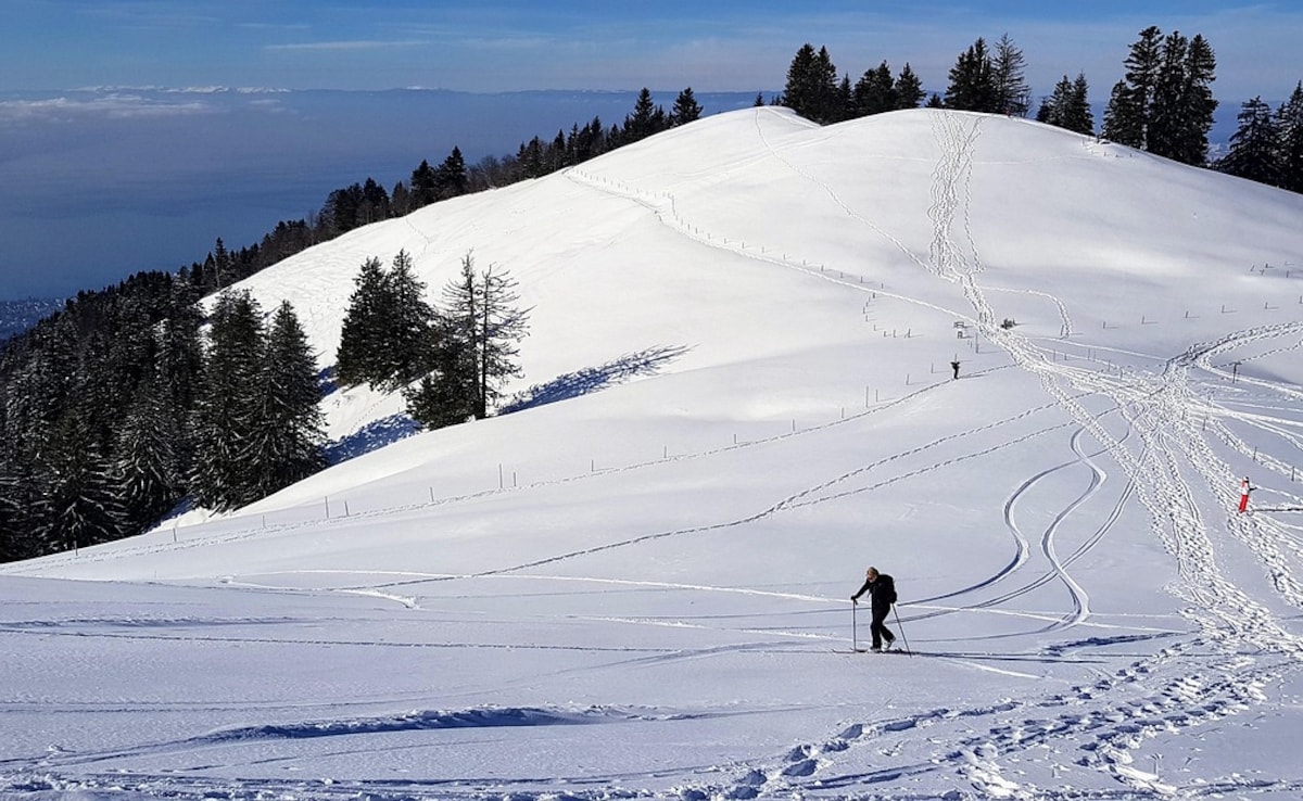 5 Skiers Found Dead In Southwest Switzerland