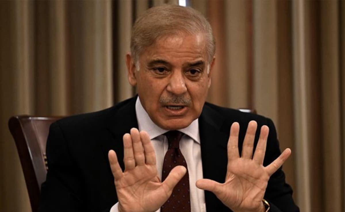 Pakistan PM Shehbaz Sharif Offers Dialogue With India “For Peace”