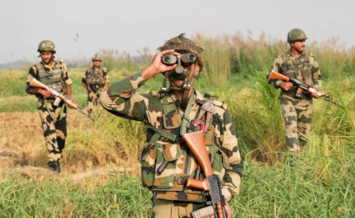 Pakistani Intruder, Trying To Enter India, Arrested By Border Forces In Punjab