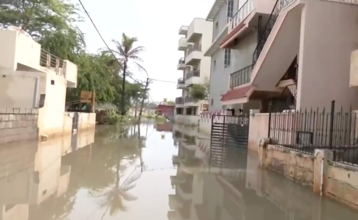 Waterlogging, Trees Uprooted After Heavy Rain In Bengaluru