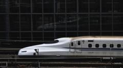 Snake halts Japanese bullet trains after wrapping around power line