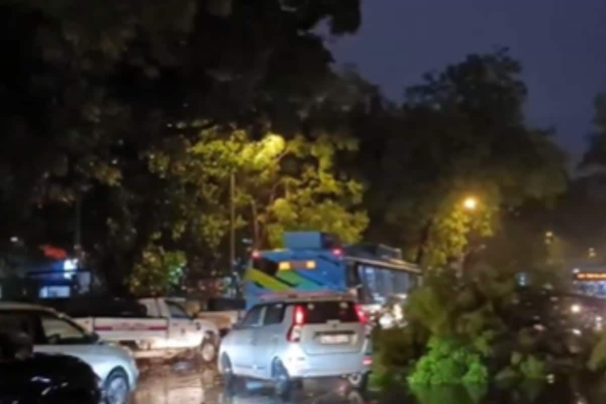 Power Cuts, Blackouts Reported In Parts Of Delhi After Massive Storm Hits National Capital