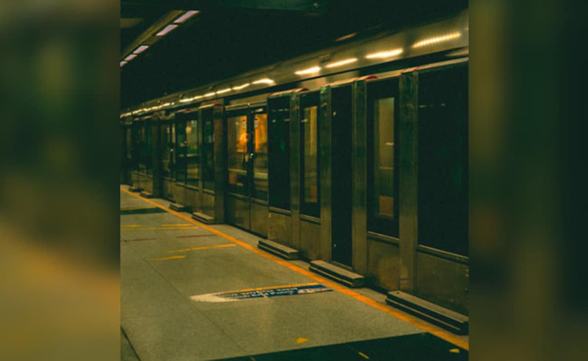 Delhi Metro’s Blue Line Services Delayed Due To Technical Snag