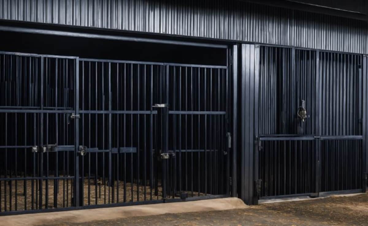 23 Get Life Term For Killing Woman On Suspicion Of Practising Witchcraft In Assam