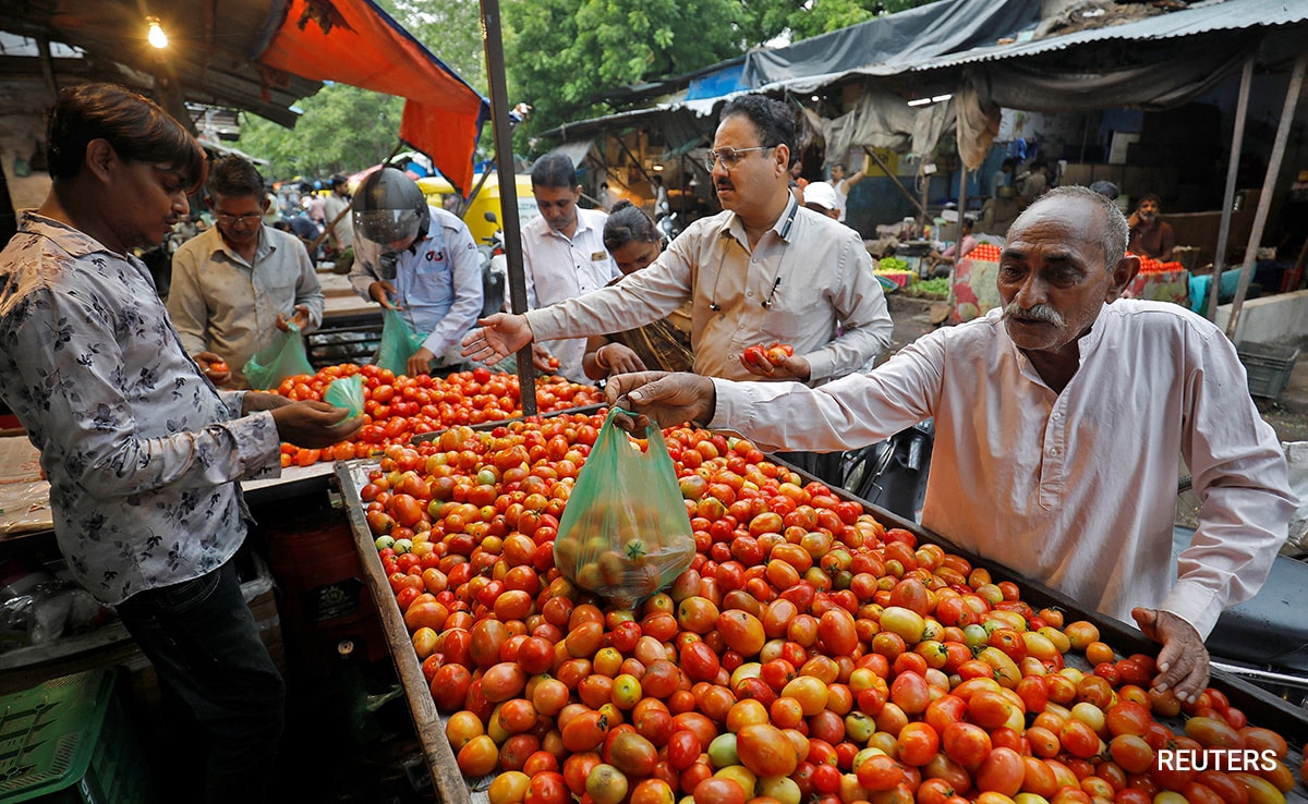 Opinion: Opinion | Why Are Tomatoes Selling So Cheap? A Much Bigger Problem Is At Play