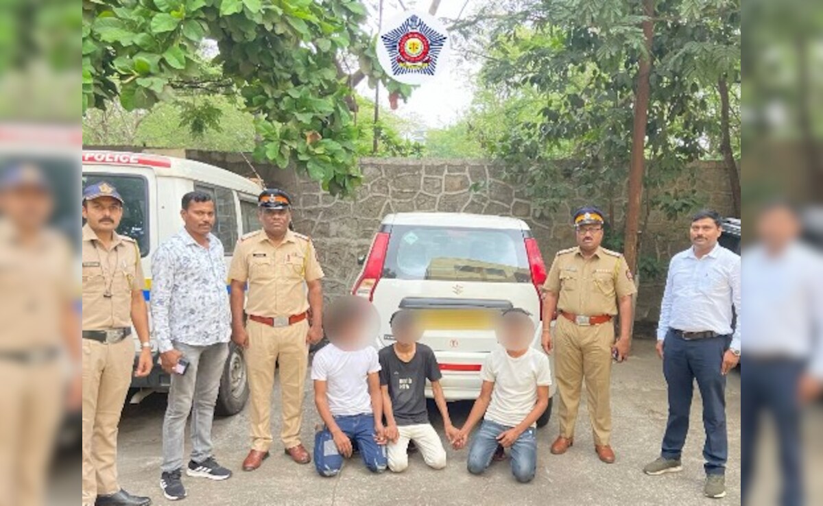 Video: Men Perform Stunts, Hold Hands Across Cars In Mumbai, Arrested