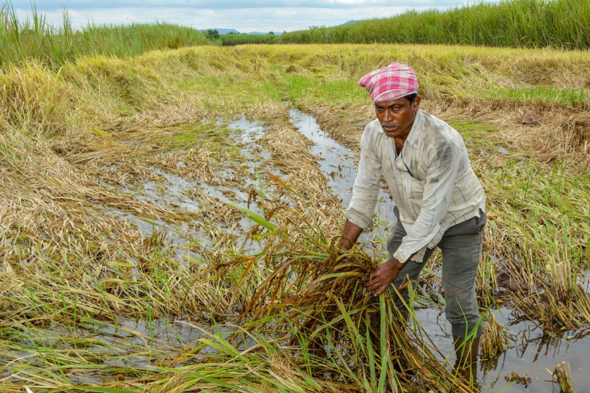 With Monsoon Slowdown Forecast, Maharashtra Advises Farmers Not To Rush Sowing