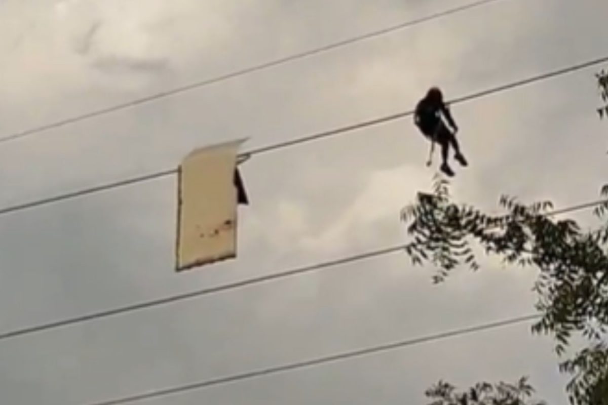 Noida Man Pulls Down Iron Signboard Hanging Mid-Air On High Tension Wire | Video
